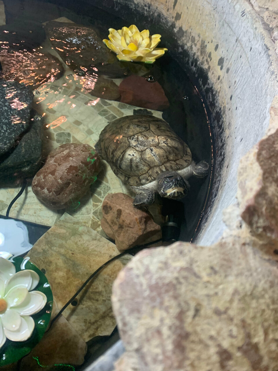 Гостиница Профсоюзная Нижний Новгород-151